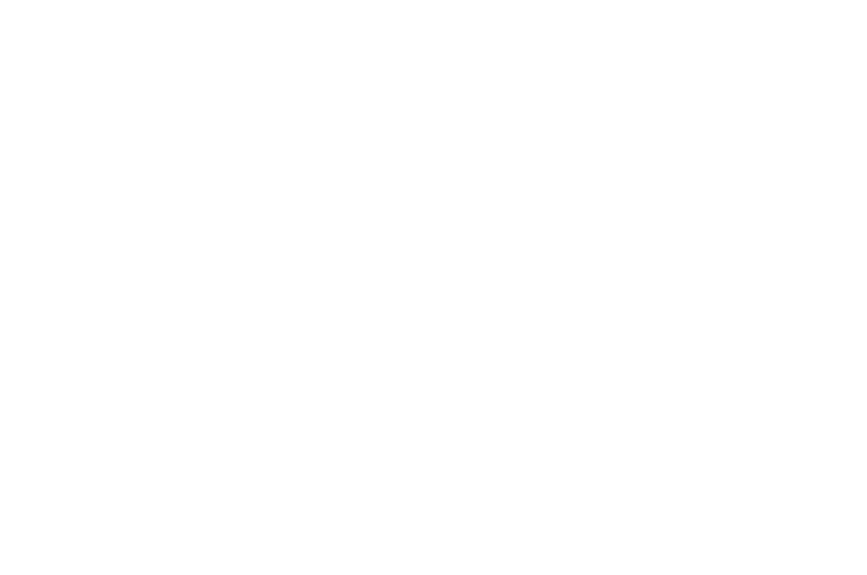 HONORABLE MENTION - Prague International Indie Film Festival - BEST CINEMATOGRAPHY